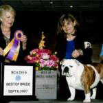 Shown winning BISS under Breeder Judge Jean Hetherington.