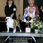 Shown winning BISS from the classes under Breeder Judge Jean Hetherington.